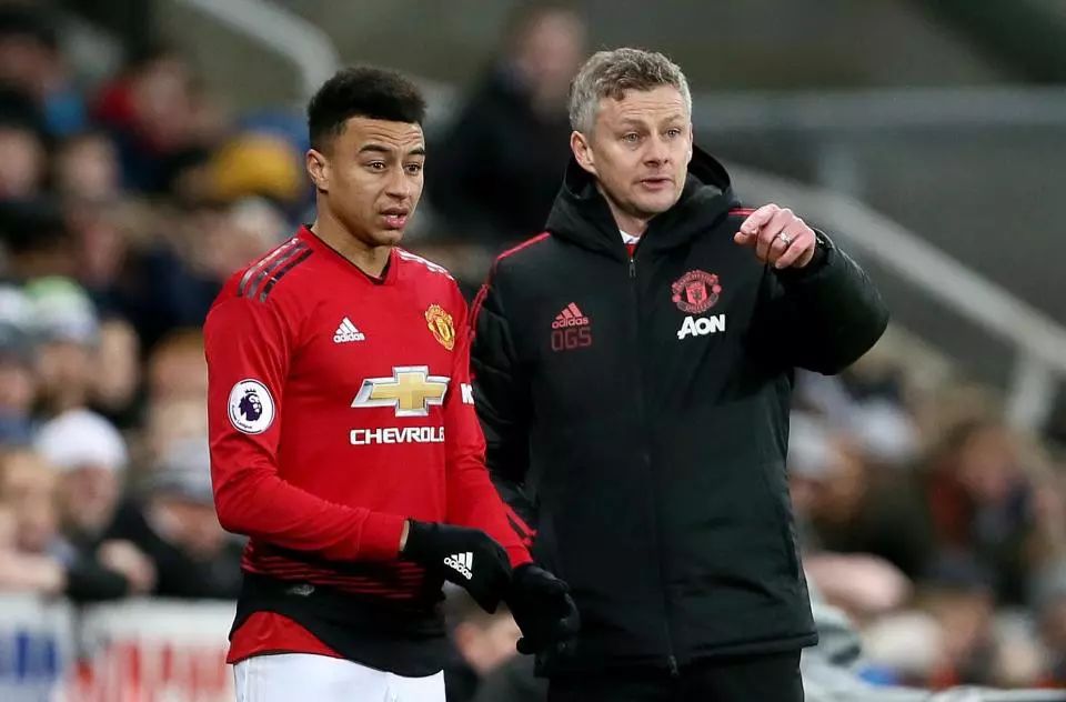 本場比賽 本場比賽